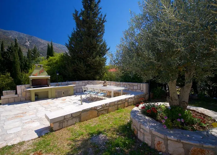 Forest Kefalonia Logarata